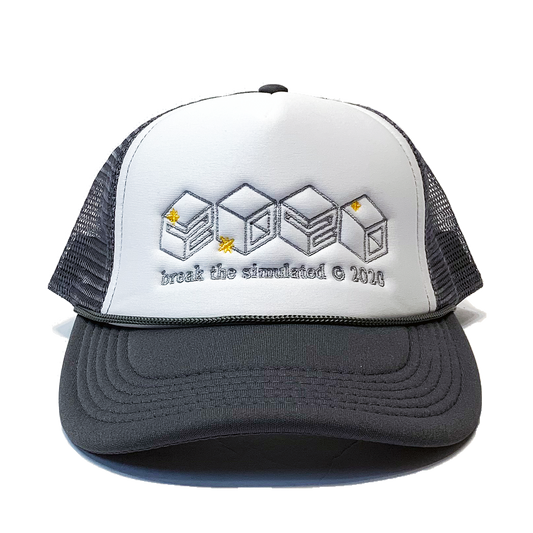 2020 Trucker Hat Grey